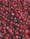 Dekogranulat rotmix, 2-4 mm 500 g