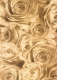 Transparentpapier Rosen, antik, 115 g, DIN A 4, 1 Blatt