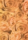 Transparentpapier Rosen, apricot, 115 g, DIN A 4, 1 Blatt