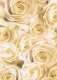 Transparentpapier Rosen, champagner, 115 g, DIN A 4, 1 Blatt