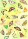 Transparentpapier Schmetterlinge gelb 115 g DIN A 4, 1 Blatt