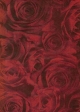 Transparentpapier Rosen, rot, 115 g, DIN A 4, 25 Blatt