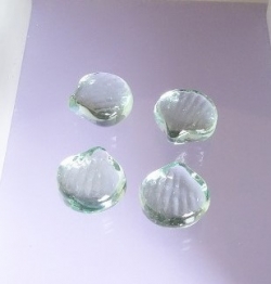 Glasstein Muschel, klar irisierend