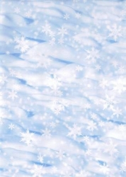 Transparentpapier Elemente, Schnee, 115 g, 50 x 61 cm, 1 Rolle