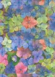 Transparentpapier Flora, Hortensie, 115 g, 50 x 61 cm, 1 Rolle
