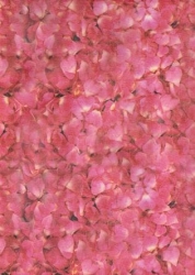 Transparentpapier Flora, Rosenblätter, 115 g, 50 x 61 cm, 1 Rolle