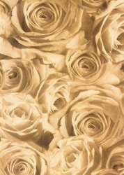 Transparentpapier Rosen, antik, 115 g, DIN A 4, 1 Blatt