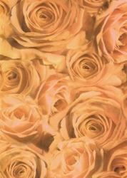 Transparentpapier Rosen, apricot, 115 g, DIN A 4, 1 Blatt