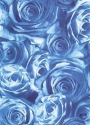 Transparentpapier Rosen mittelblau 115 g DIN A 4