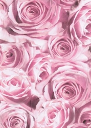 Transparentpapier Rosen, rosa, 115 g, DIN A 4, 1 Blatt