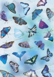 Transparentpapier Schmetterlinge, blau, 115 g, DIN A 4, 1 Blatt