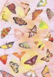 Transparentpapier Schmetterlinge, rosa, 115 g, DIN A 4, 1 Blatt